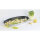 Demeyere Fischpfanne, 45 cm x 24 cm, 99742 / 40850-957